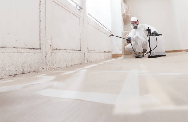 24/7 Emergency Mold Removal experts in Fairplay, GA