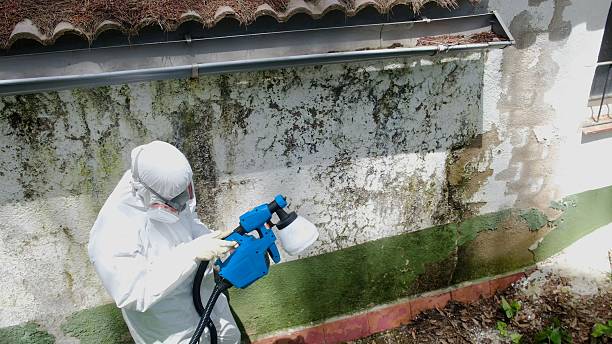 Top rated local Mold Removal specialists in Fairplay, GA